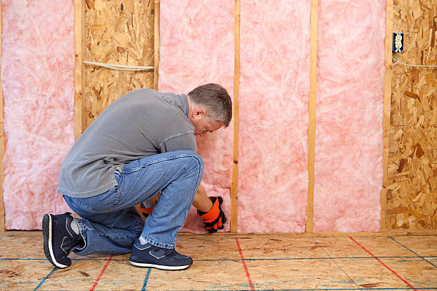 Best DIY Insulation Kits and Guidance in Belvedere, CA